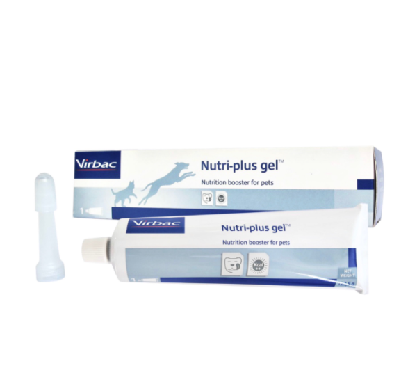 Gel dinh dưỡng cho chó mèo NUTRI-PLUS GEL
