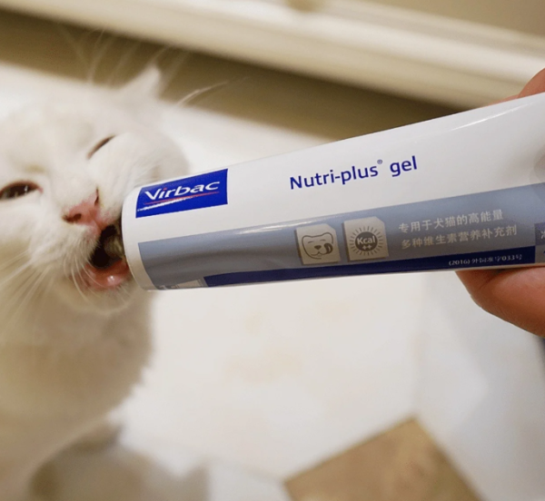 Gel dinh dưỡng cho chó mèo NUTRI-PLUS GEL - Hình ảnh 2