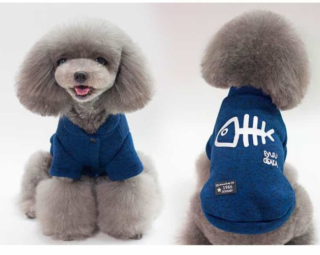 áo cho chó poodle