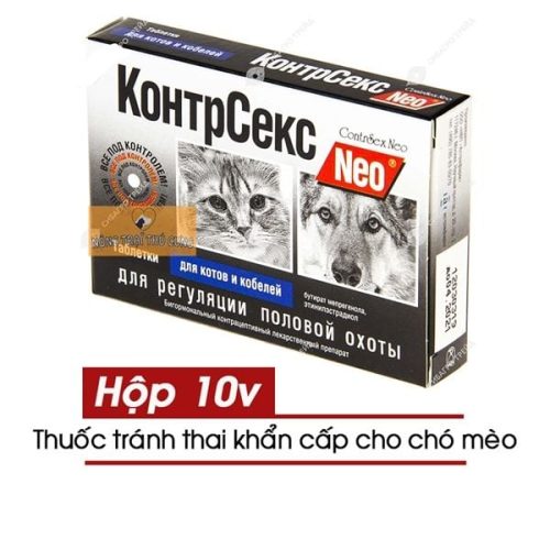 Thuốc tránh thai cho chó