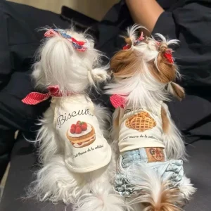 Chó mặc vest