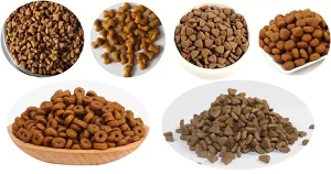 Đồ dùng cho mèo - Thức ăn cho mèo