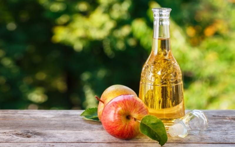 giấm táo tắm cho chó để hết hôi