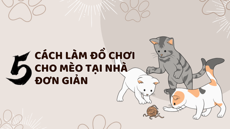 Làm đồ chơi cho mèo