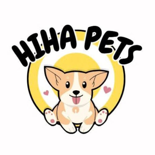 My Blog